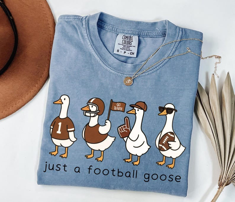Silly Goose Football Washed Cotton Crew Neck T-Shirt